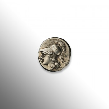 La dea Atena con casco Corinzio nella moneta d'argento di Cales